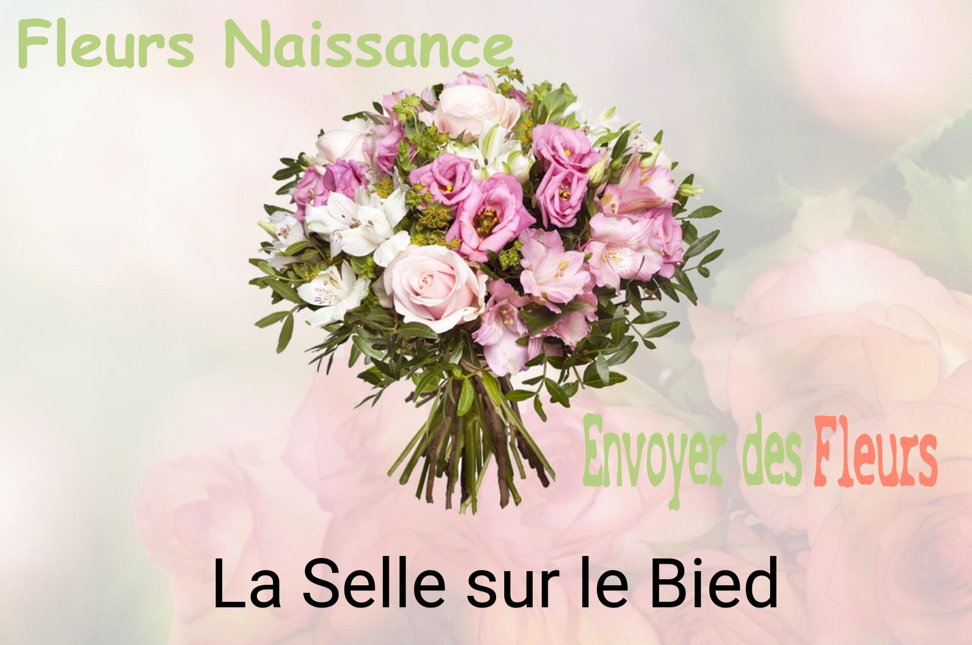 Bouquet de fleurs de naissance livré à La Selle-sur-le-Bied