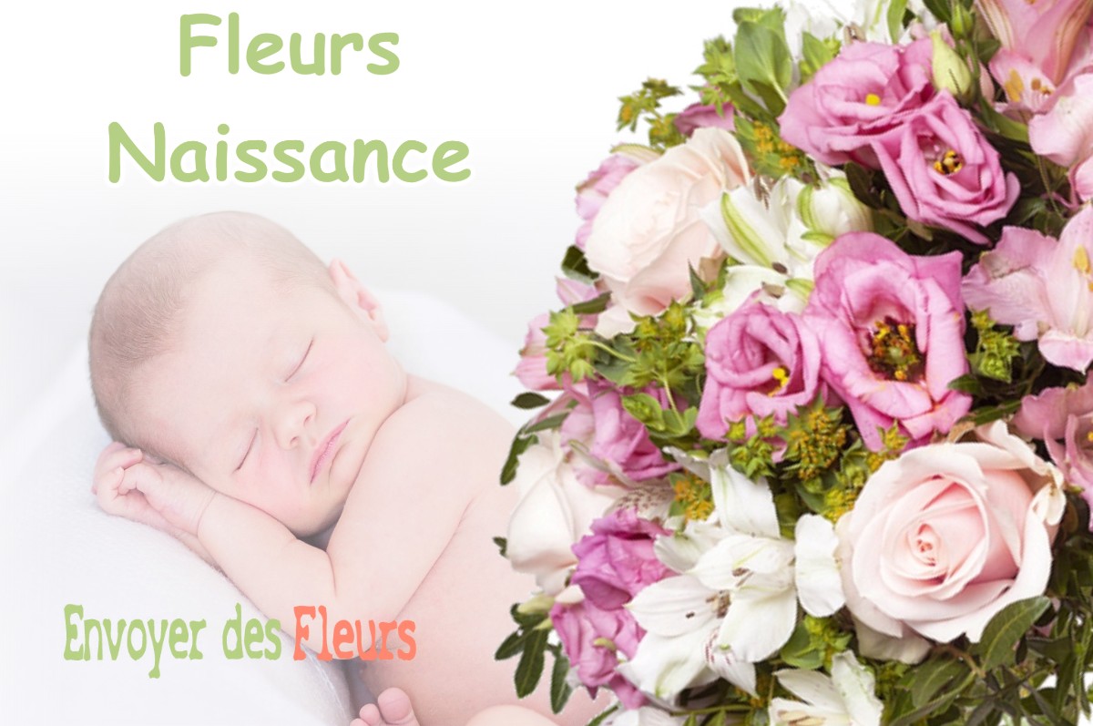 lIVRAISON FLEURS NAISSANCE à LA-SELLE-SUR-LE-BIED