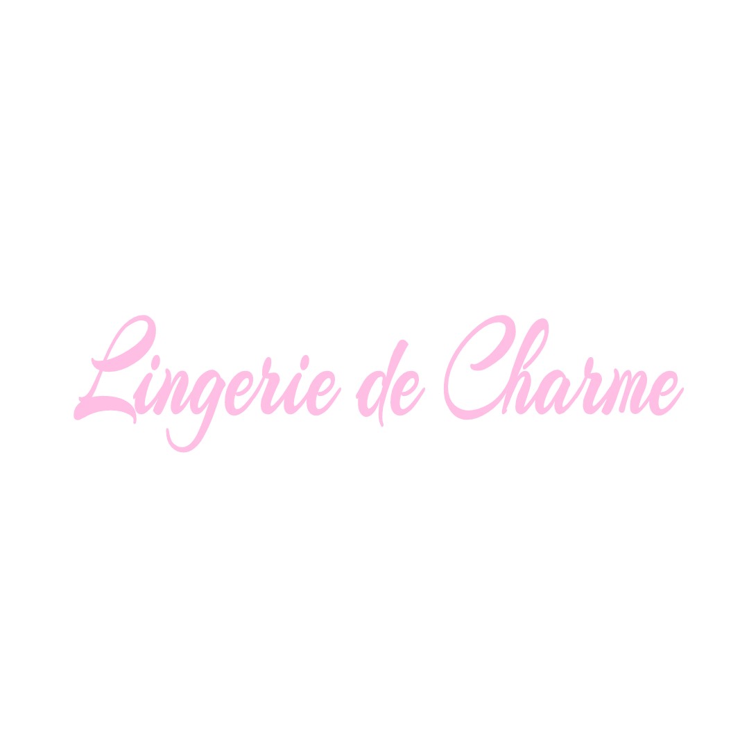 LINGERIE DE CHARME LA-SELLE-SUR-LE-BIED